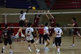 2025 赛季回顾：白袜队虽然赛季惨败，但村上宗隆的加盟让球队季票销量翻倍